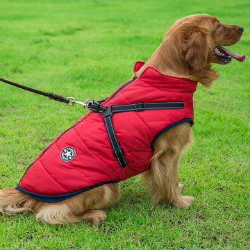 "Dog Winter Cotton Vest - Warm & Cozy"