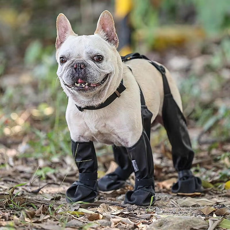 "Waterproof Anti-Slip Dog Boots with Rugged Sole – Paw Protectors"