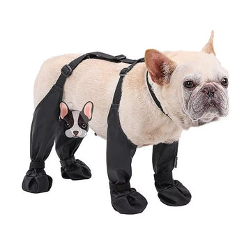 "Waterproof Anti-Slip Dog Boots with Rugged Sole – Paw Protectors"